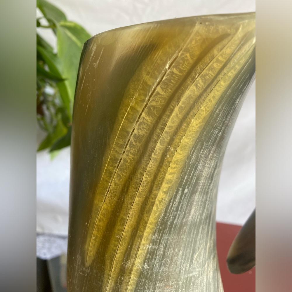 Cattle Horn Vase with Handle π - Picture 5 of 6